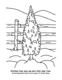 Pennsylvania Dutch Christmas Coloring Book - Gerry Kershner - 2