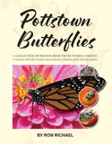Pottstown Butterflies: A Collection of Photos From the Butterfly Habitat