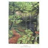 Tauferhole, Anabaptist Cave, Wappenswil, Switzerland, Art Print - Greg Yoder