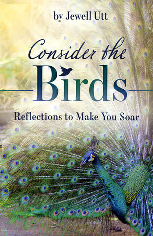 Consider the Birds: Reflections to Make You Soar