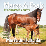 Mares & Foals of Lancaster County (Marre un Hutschlin)