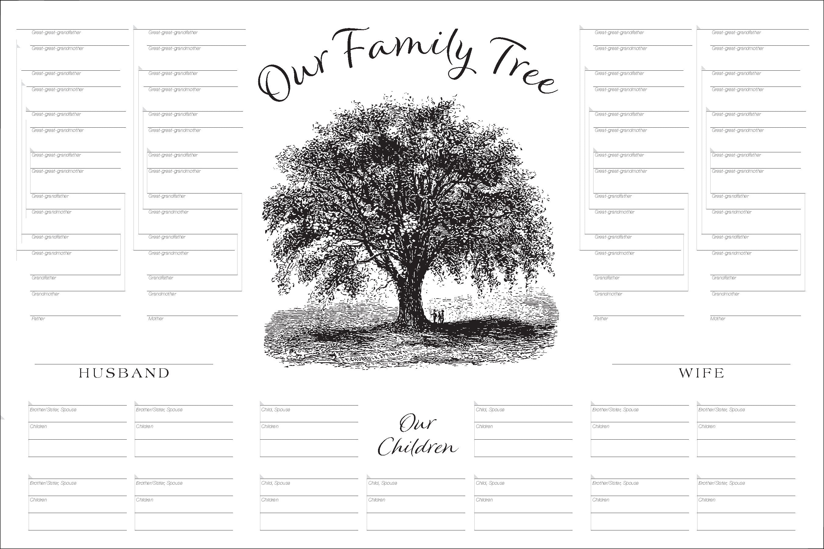  Genealogy Treasure Chest Family Tree - 2-Pack - 11x17-6  Generation - Family Tree Charts To Fill In - Family Tree Gifts - Genealogy  Gifts - Genealogy Charts and Forms (6 Generation) : Office Products